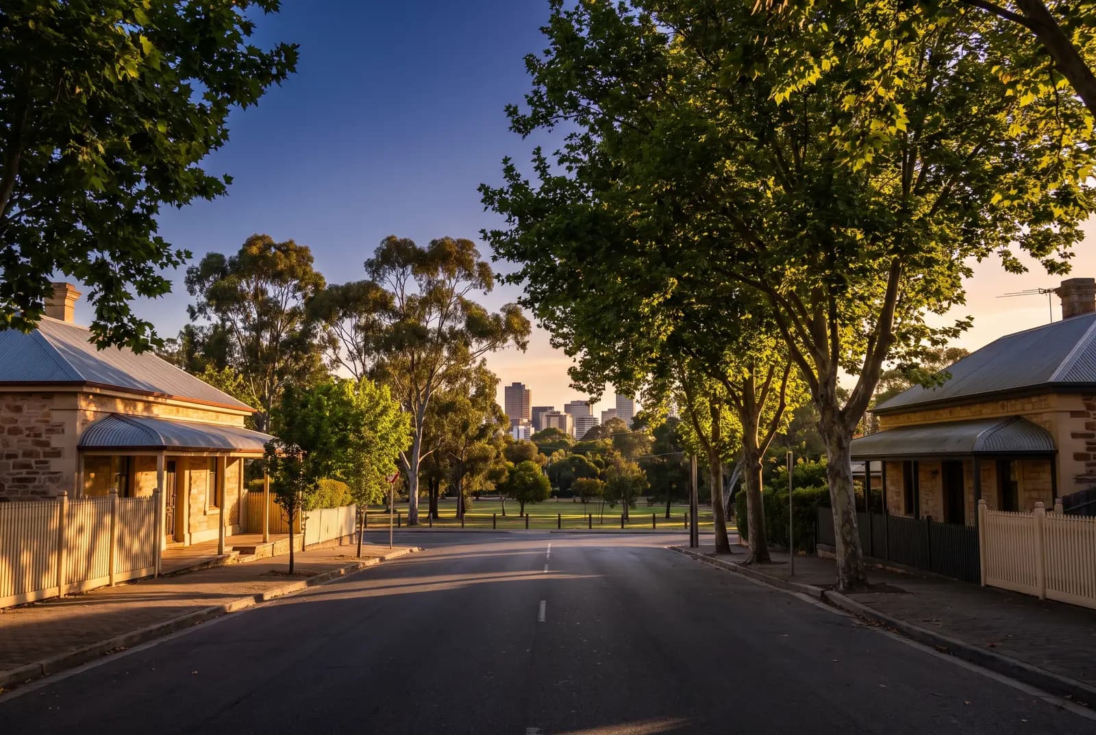 Adelaide at golden hour, near the parklands